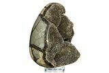 Septarian Dragon Egg Geode - Sparkly Black Crystals #308828-2